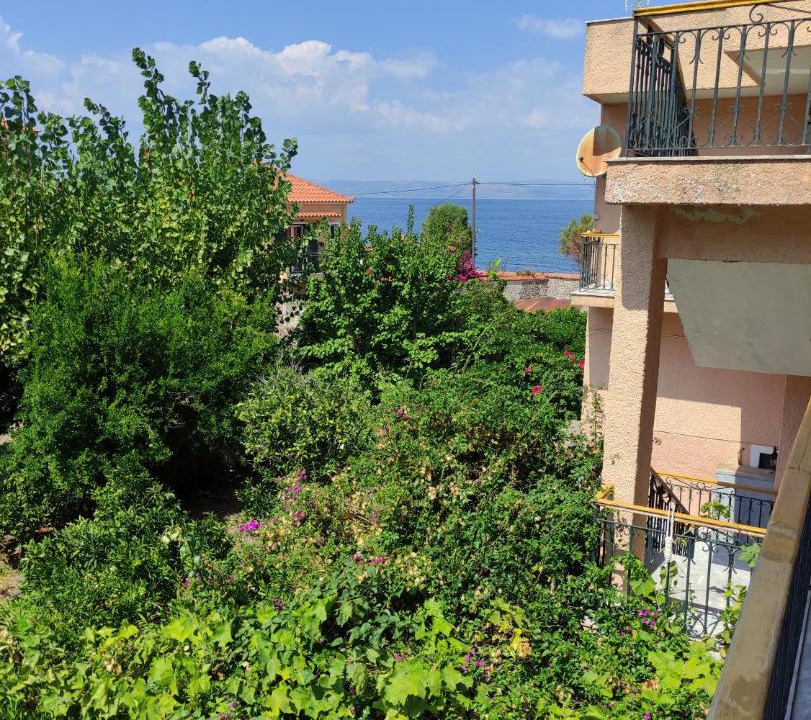 Photo of Others in Skala Sykamineas