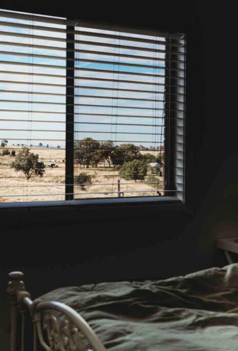 Photo of Others in Canowindra