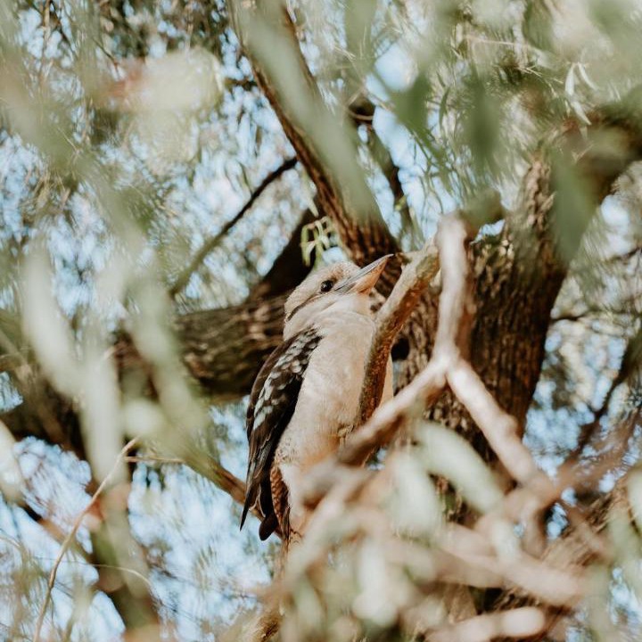 Photo of Others in Naturaliste