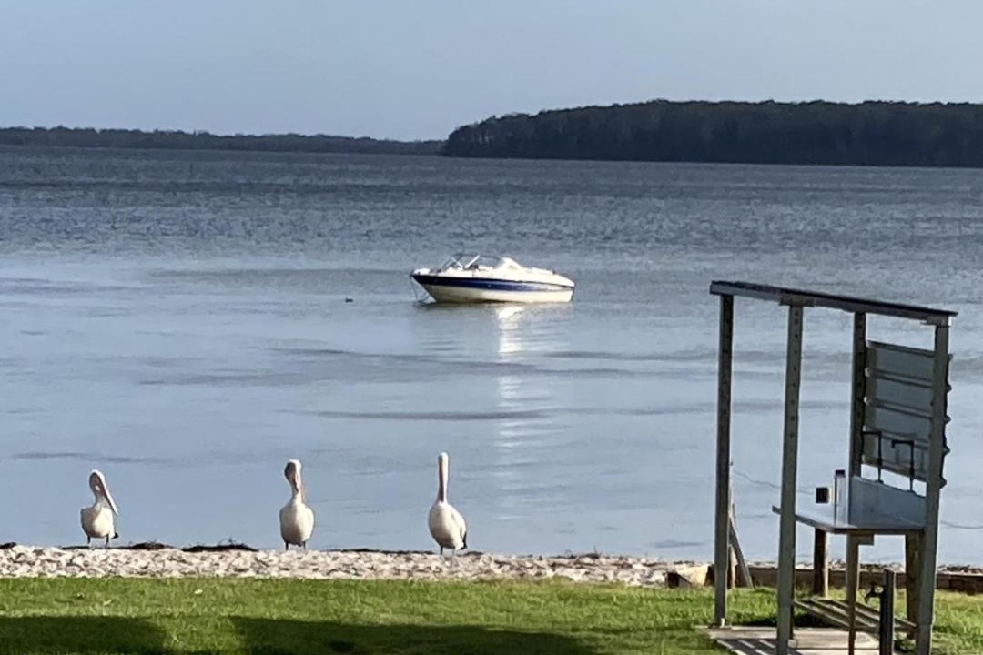 Photo of Others in St. Georges Basin