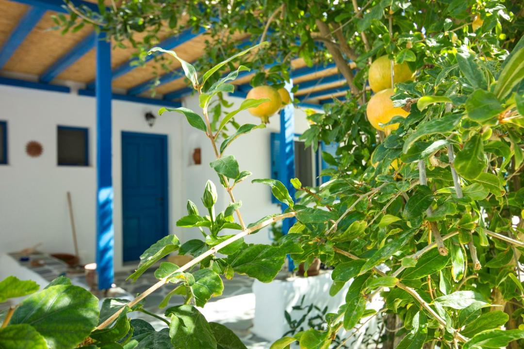 Photo of Others in Aliki