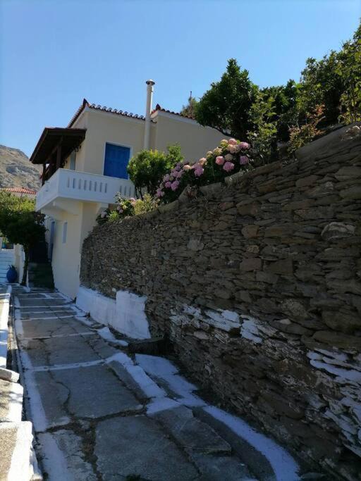 Photo of Others in Andros Town