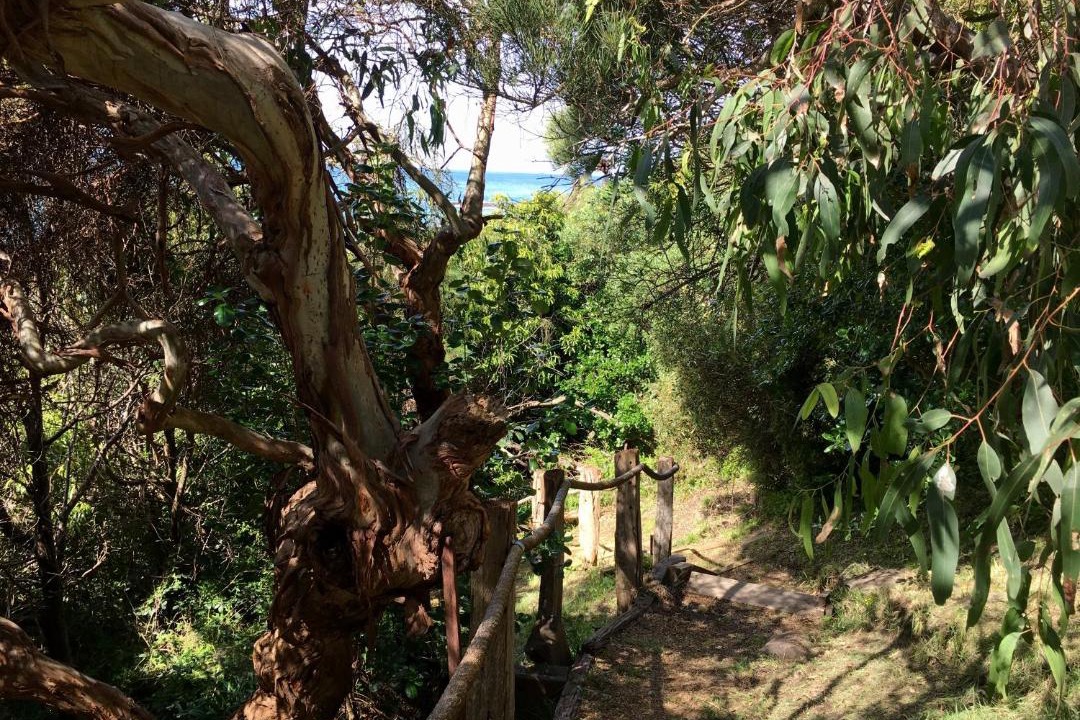 Photo of Others in Wye River