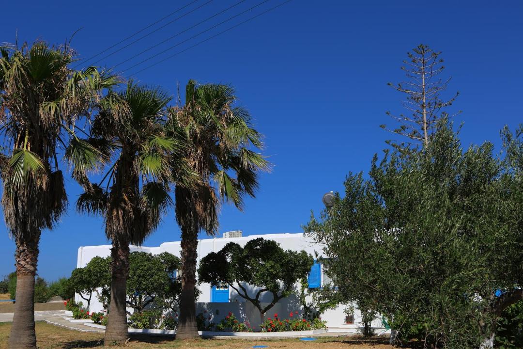Photo of Others in Paros