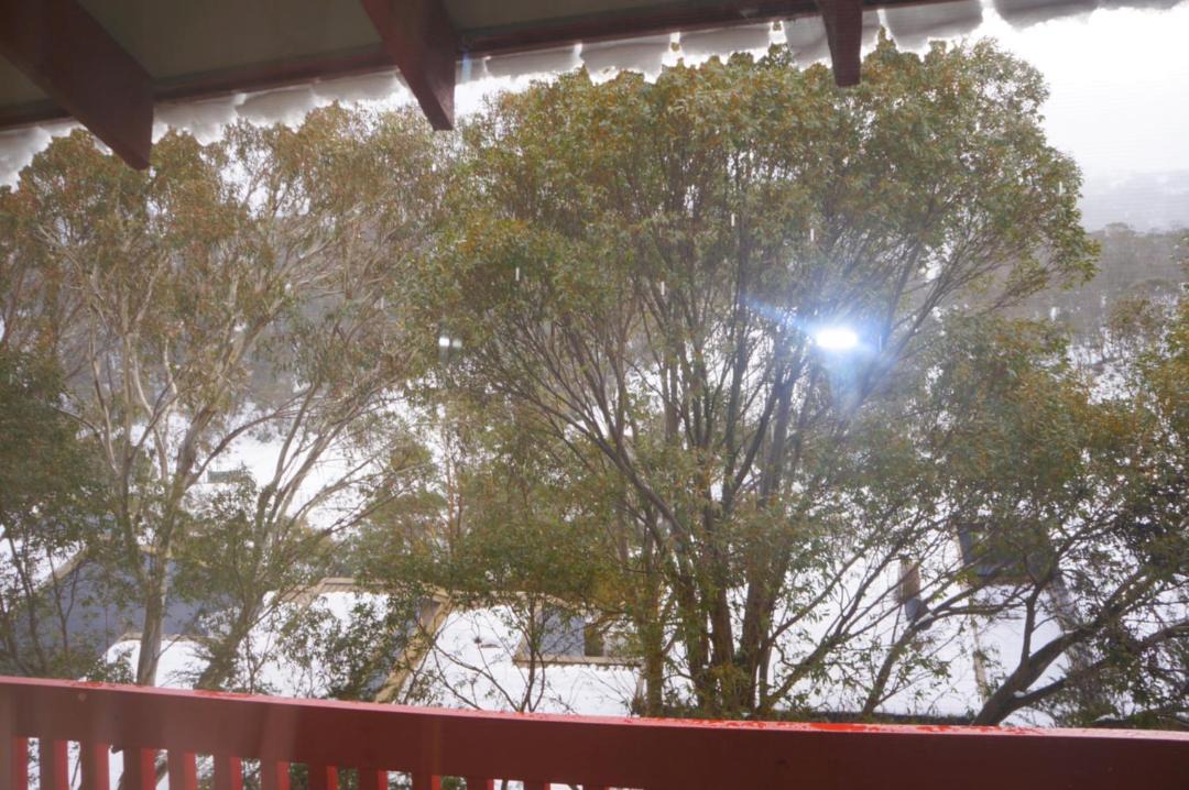 Photo of Others in Thredbo