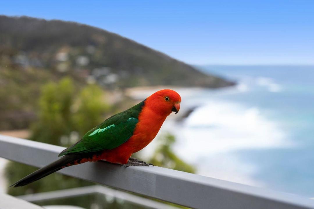 Photo of Others in Wye River