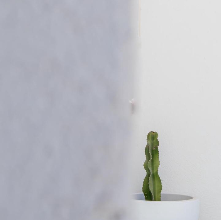 Photo of Others in Paros