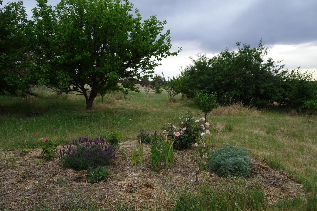 Photo of Outdoor in Jutland