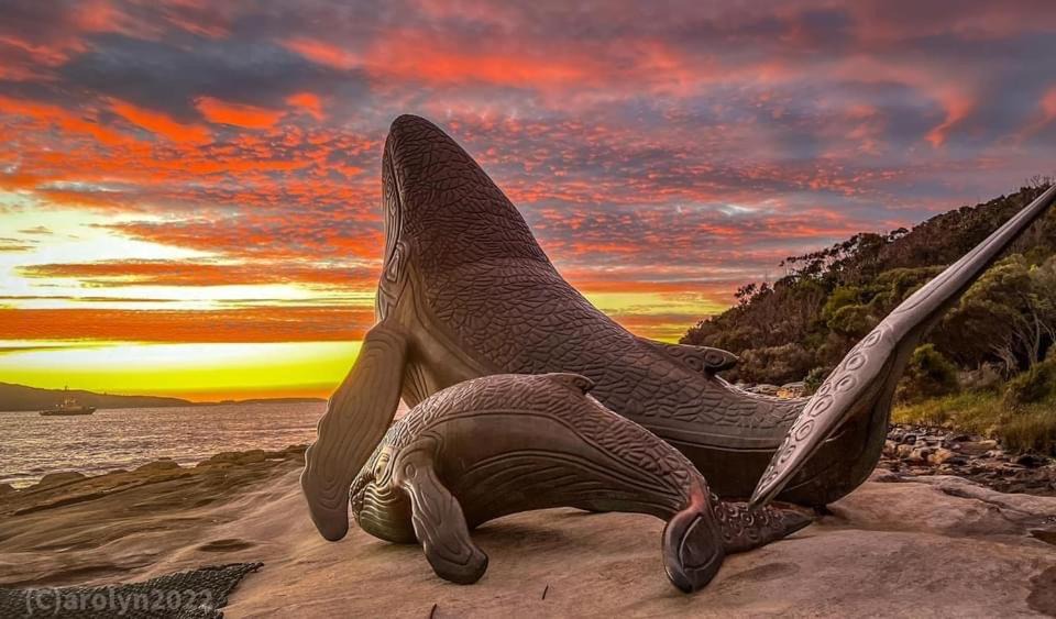 Photo of Others in Kurnell