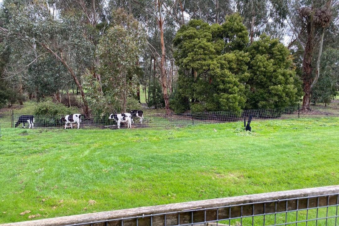 Photo of Others in Cobden