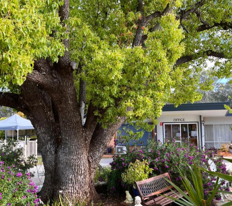 Photo of Others in Balranald