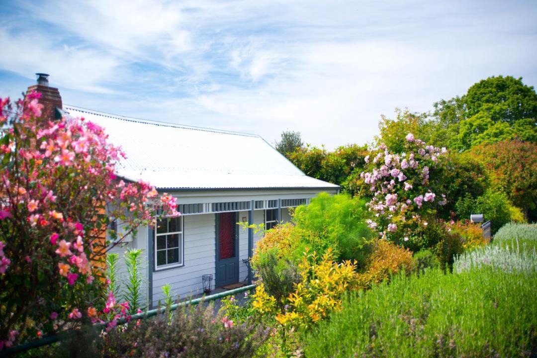 Photo of Others in Daylesford