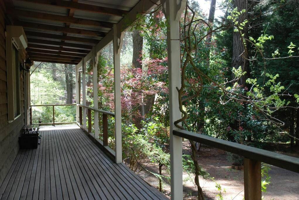 Photo of Patio Balcony in Medlow Bath