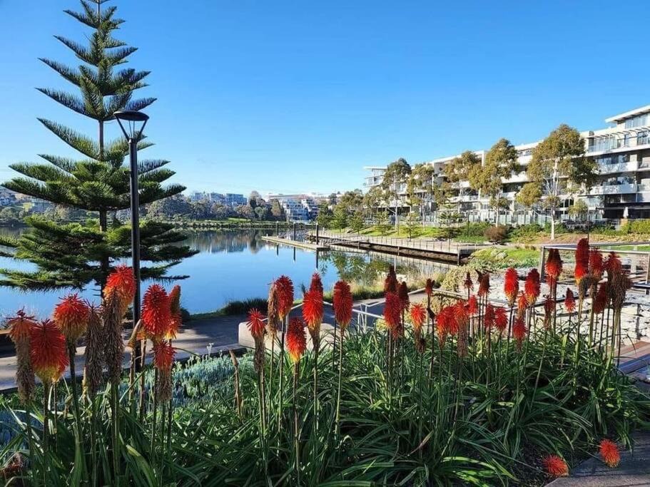 Photo of Outdoor in Maribyrnong