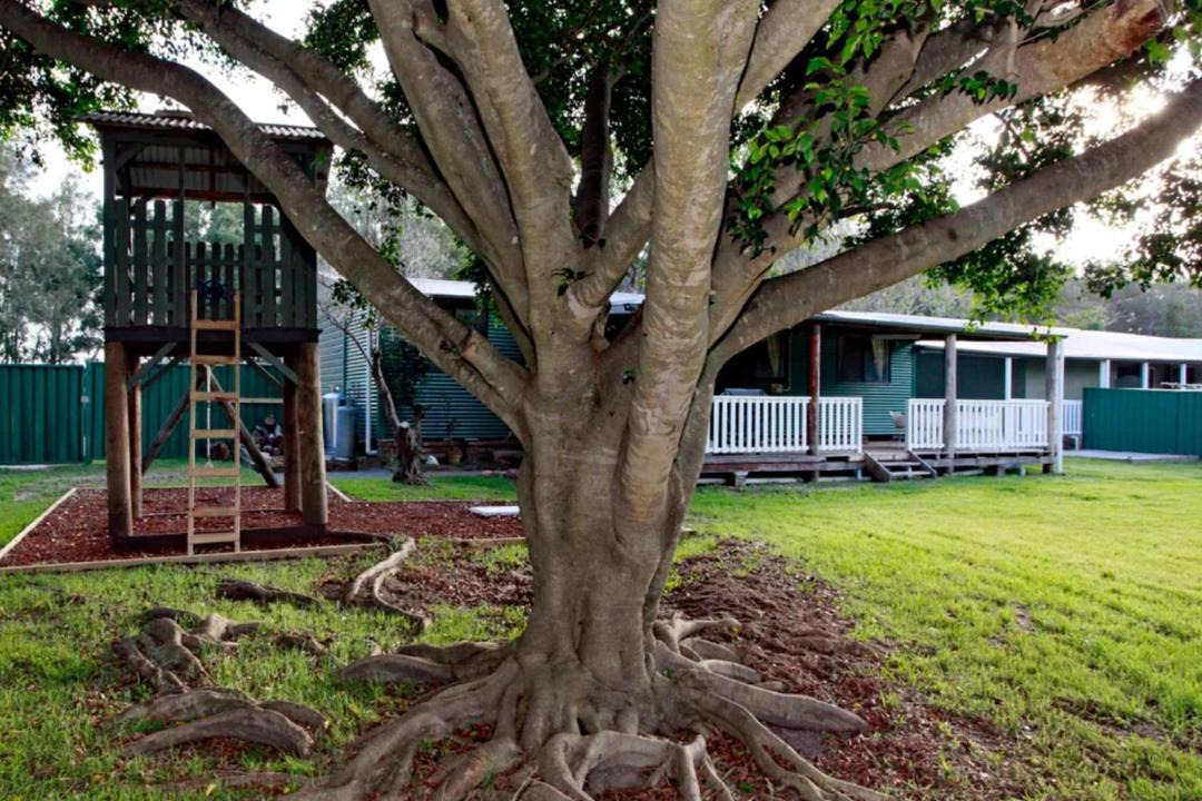 Photo of Buildings in Anna Bay