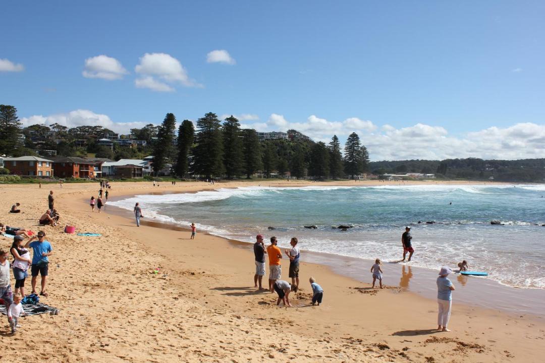 Photo of Others in Avoca Beach