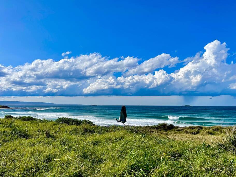 Photo of Outdoor in Port Kembla