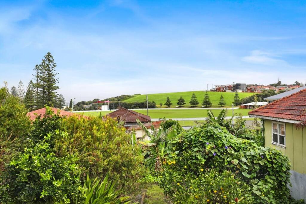 Photo of Others in Port Kembla
