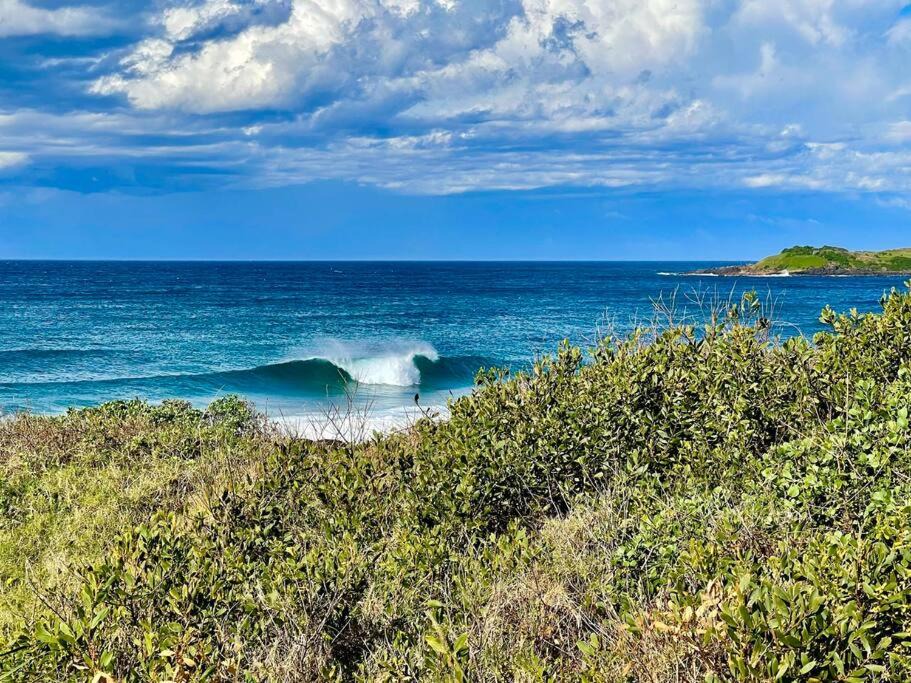 Photo of Outdoor in Port Kembla