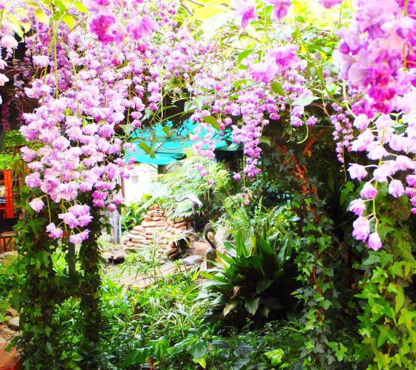 Photo of Outdoor in Stockwell