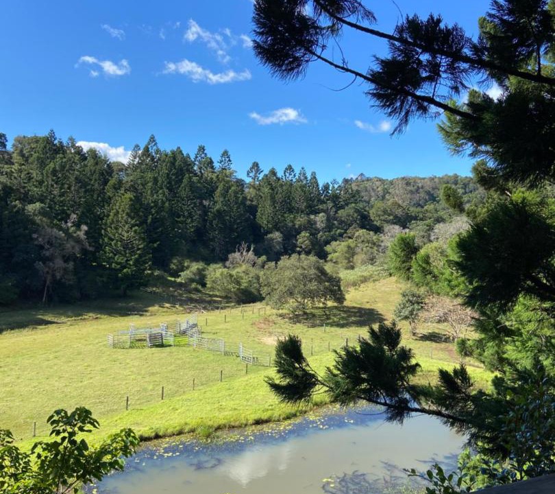 Photo of Others in Maleny