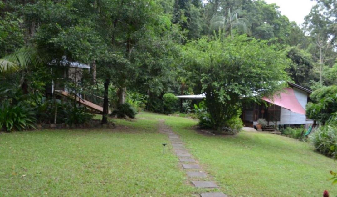 Photo of Others in Palmwoods