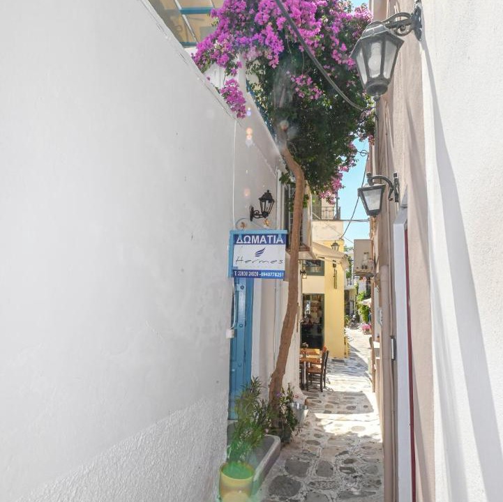 Photo of Others in Tinos Town