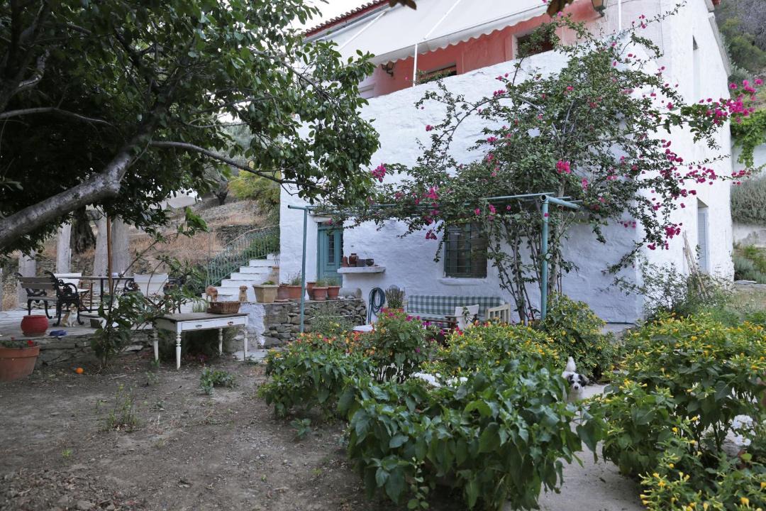 Photo of Others in Apikia