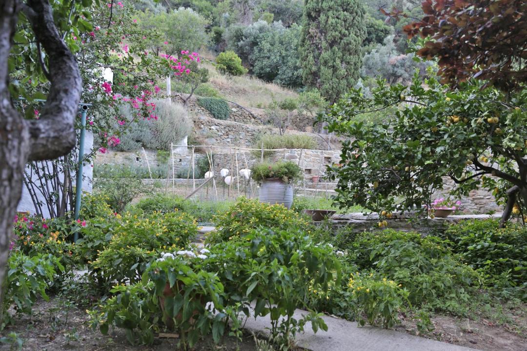 Photo of Others in Apikia