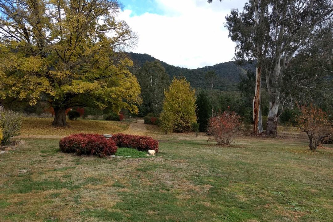 Photo of Outdoor in Freeburgh