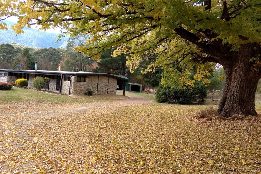 Photo of Buildings in Freeburgh