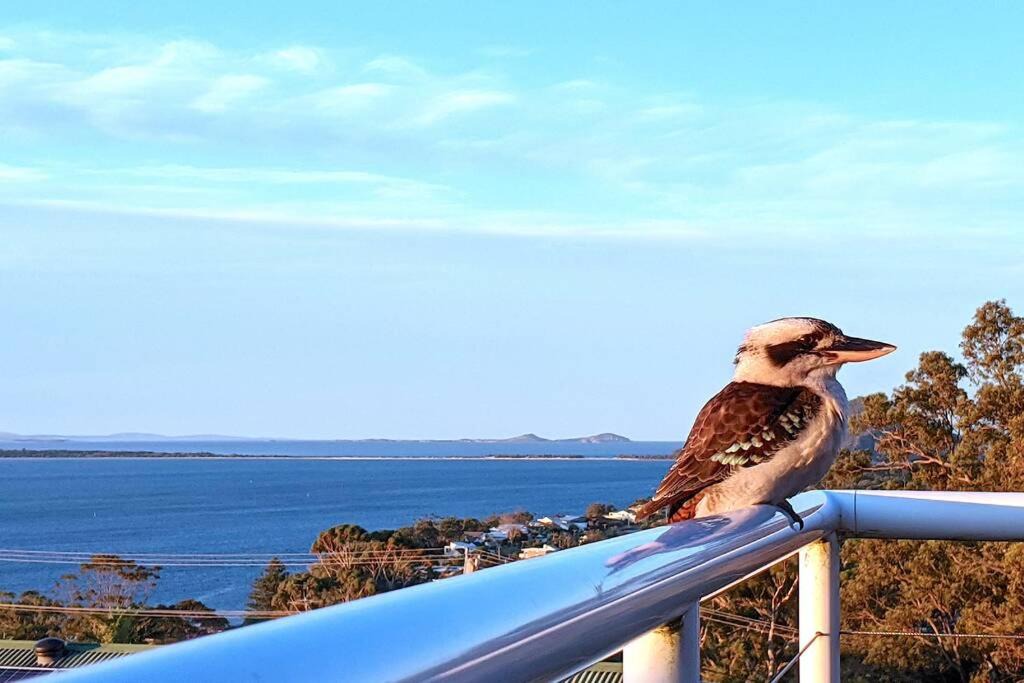Photo of Others in Nelson Bay