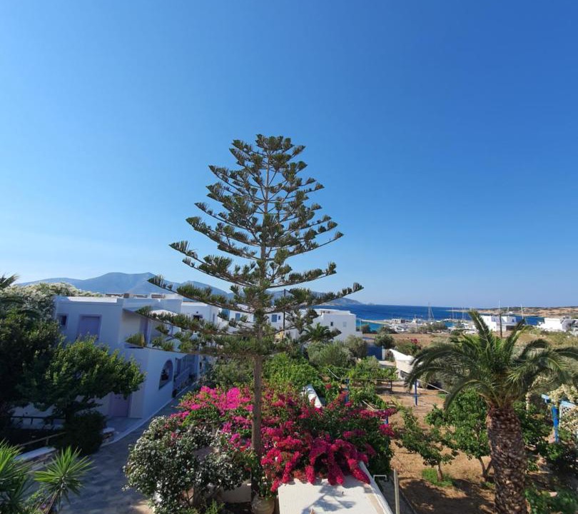 Photo of Others in Koufonisia