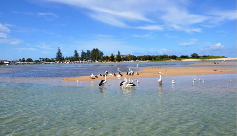 Photo of Others in Bateau Bay