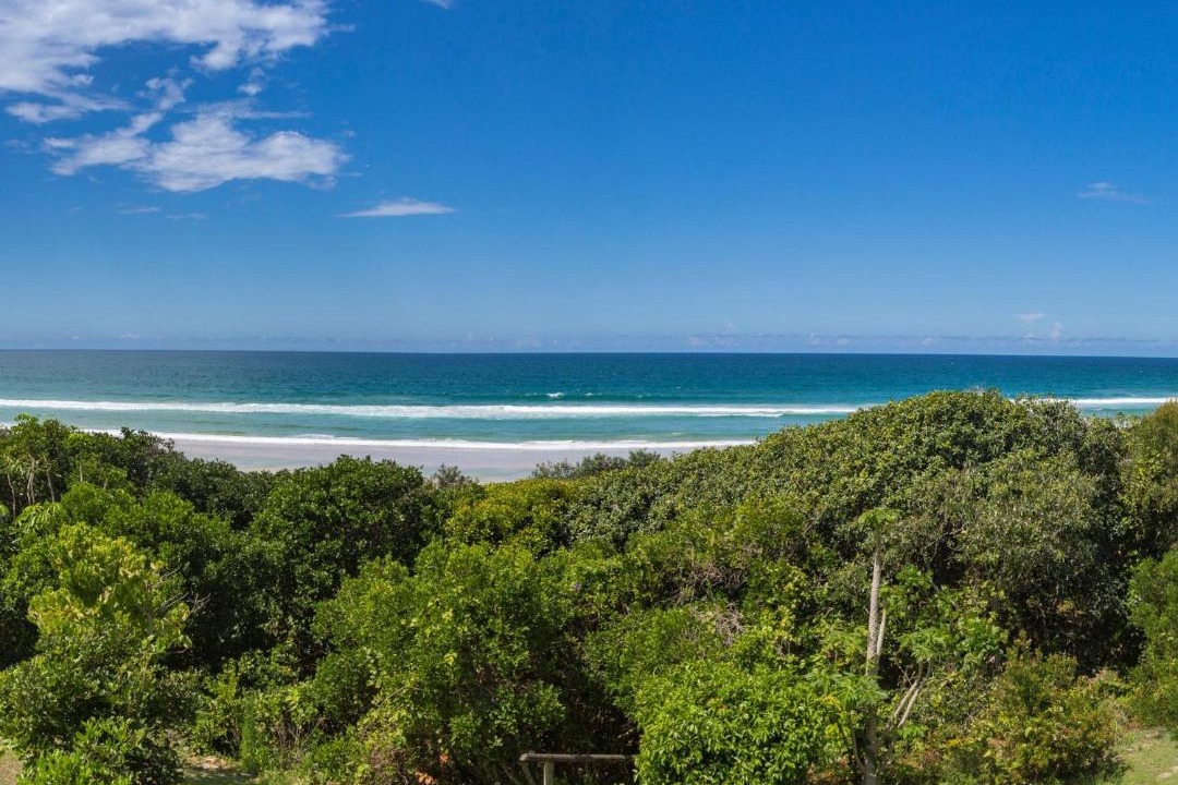 Photo of Others in Hastings Point