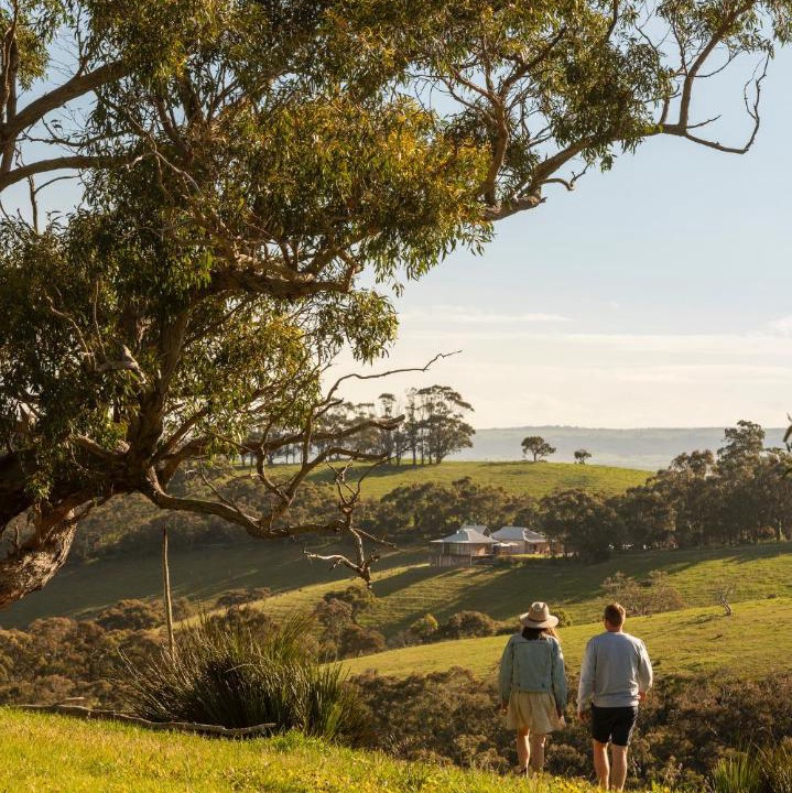 Photo of Others in Hindmarsh Valley