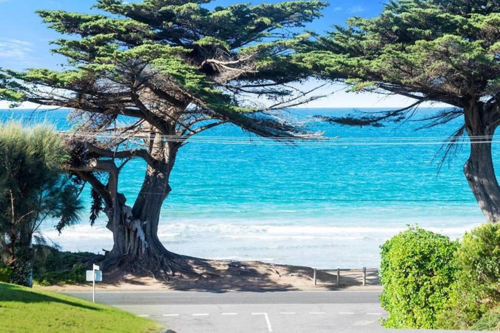 Photo of Others in Apollo Bay