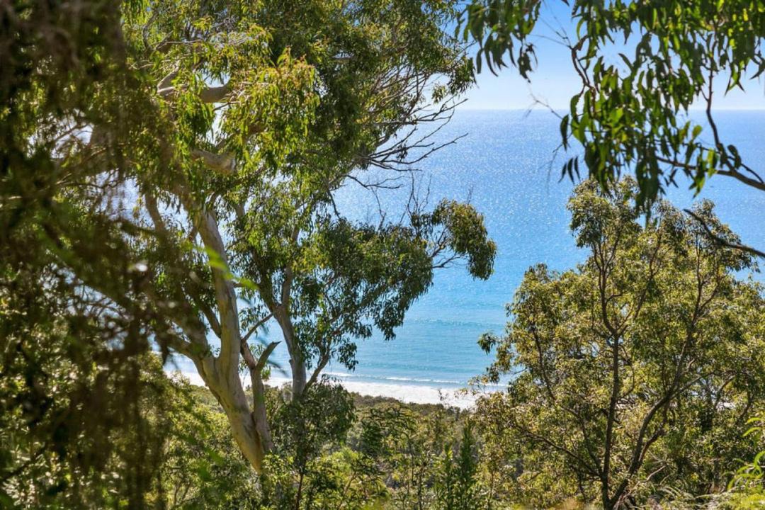 Photo of Outdoor in Point Lookout