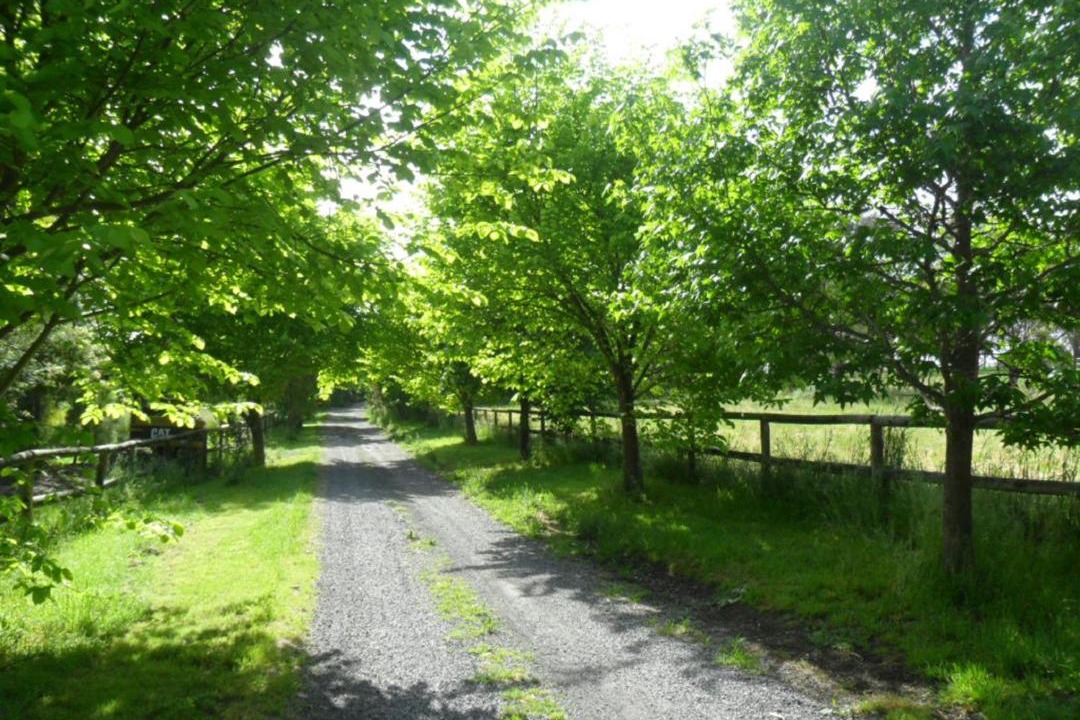 Photo of Outdoor in Wonga Park