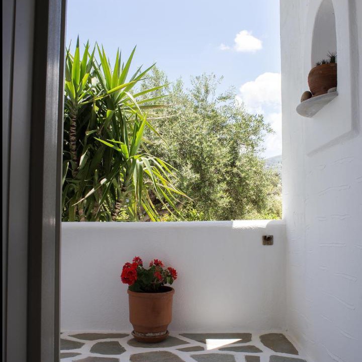 Photo of Others in Parasporos