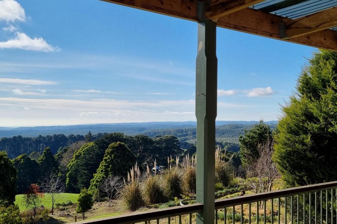 Photo of Patio Balcony in Beech Forest