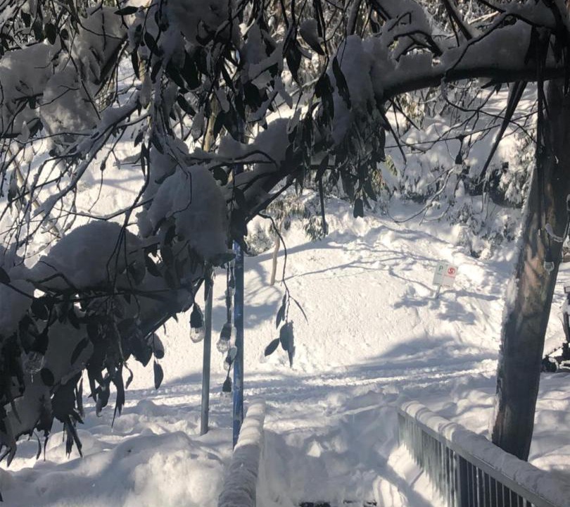 Photo of Others in Falls Creek
