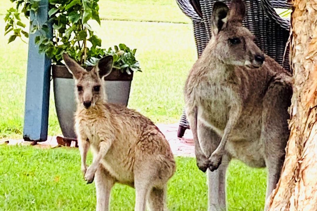 Photo of Others in Salamander Bay