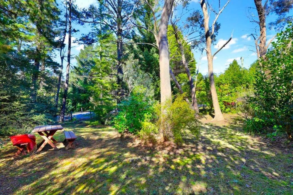 Photo of Outdoor in Leura