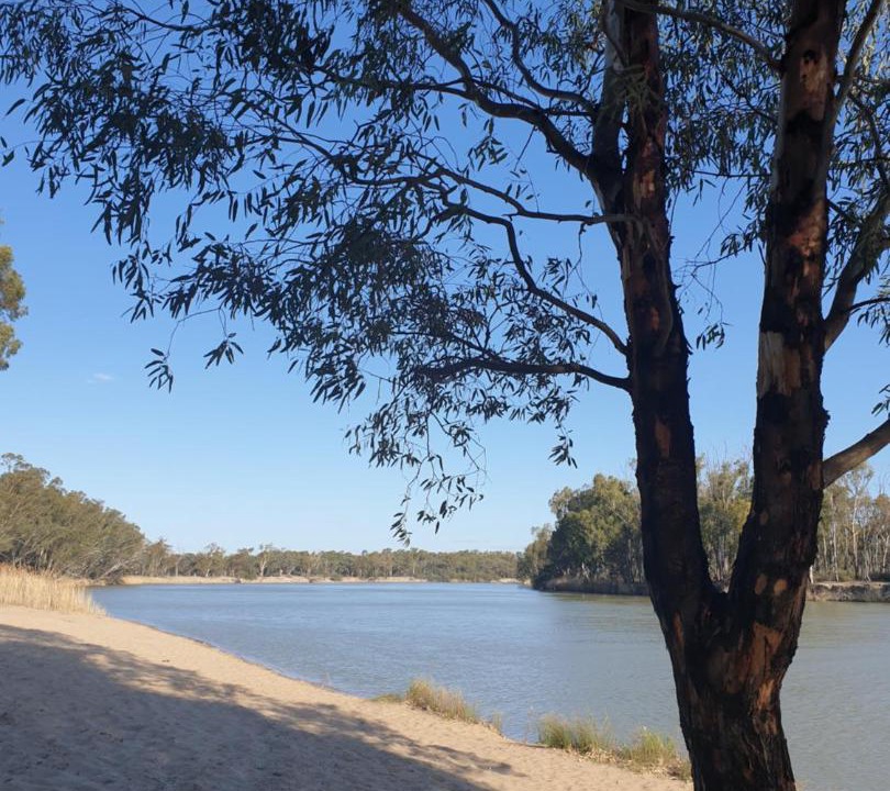 Photo of Others in Paringa