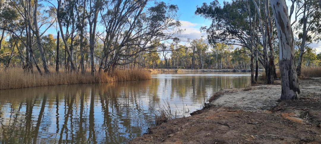 Photo of Others in Paringa
