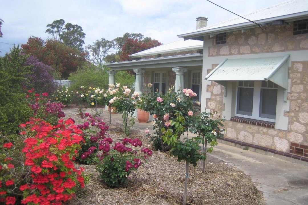 Photo of Buildings in Naracoorte