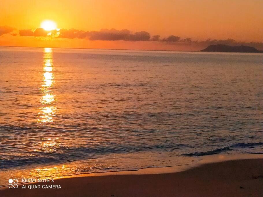Photo of Others in Palm Cove