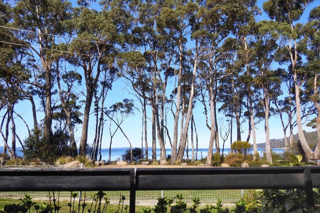 Photo of Buildings in Surveyors Bay