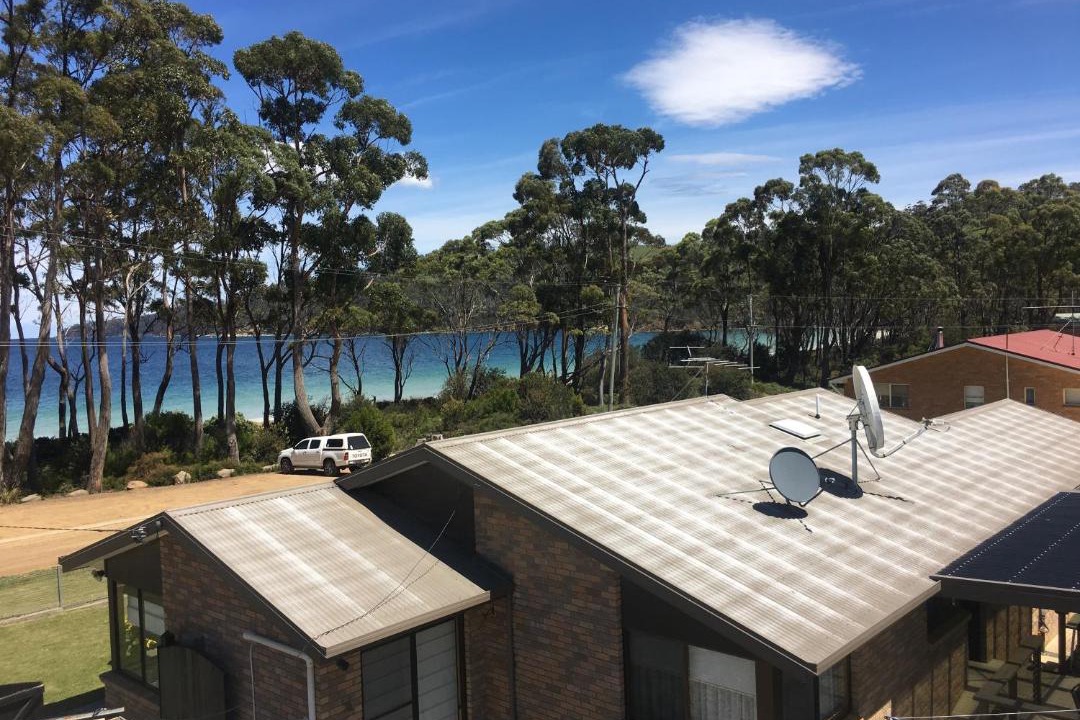 Photo of Others in Surveyors Bay